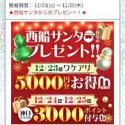 ヒメ日記 2025/12/22 21:15 投稿 かな 西船人妻花壇