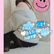 ヒメ日記 2026/01/26 09:43 投稿 かな 西船人妻花壇