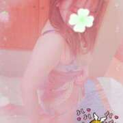 ヒメ日記 2026/01/27 23:40 投稿 かな 西船人妻花壇