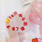 ヒメ日記 2026/02/11 08:57 投稿 かな 西船人妻花壇