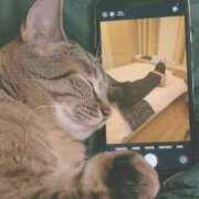 ヒメ日記 2026/02/15 08:12 投稿 かな 西船人妻花壇