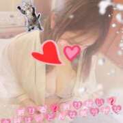 ヒメ日記 2026/02/19 11:16 投稿 かな 西船人妻花壇