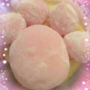 ヒメ日記 2026/02/20 12:45 投稿 かな 西船人妻花壇