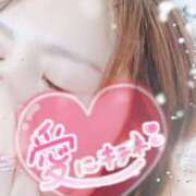 ヒメ日記 2026/02/20 23:19 投稿 かな 西船人妻花壇