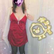 ヒメ日記 2026/02/26 12:04 投稿 かな 西船人妻花壇