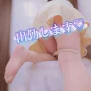 ヒメ日記 2026/02/28 08:34 投稿 かな 西船人妻花壇