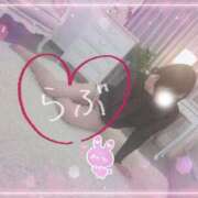 ヒメ日記 2026/03/02 23:41 投稿 かな 西船人妻花壇