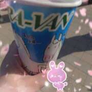 ヒメ日記 2026/03/06 12:13 投稿 かな 西船人妻花壇