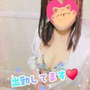 ヒメ日記 2026/03/11 22:07 投稿 かな 西船人妻花壇