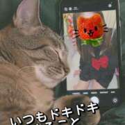 ヒメ日記 2026/03/13 10:57 投稿 かな 西船人妻花壇