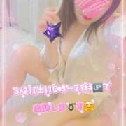 ヒメ日記 2026/03/20 22:27 投稿 かな 西船人妻花壇