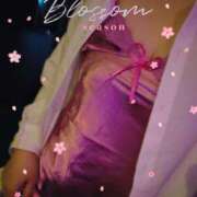 ヒメ日記 2026/03/21 22:37 投稿 かな 西船人妻花壇