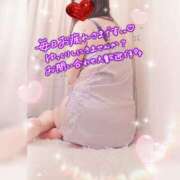 ヒメ日記 2026/03/26 08:48 投稿 かな 西船人妻花壇