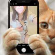 ヒメ日記 2026/03/29 16:42 投稿 かな 西船人妻花壇