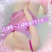 ヒメ日記 2026/04/03 08:41 投稿 かな 西船人妻花壇