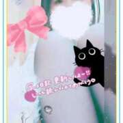 ヒメ日記 2026/04/09 20:21 投稿 かな 西船人妻花壇