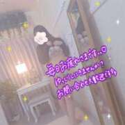 ヒメ日記 2026/04/12 08:54 投稿 かな 西船人妻花壇