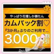 ヒメ日記 2026/04/14 12:58 投稿 かな 西船人妻花壇