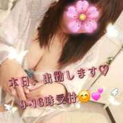 ヒメ日記 2026/04/20 07:42 投稿 かな 西船人妻花壇