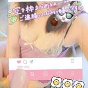 ヒメ日記 2026/04/20 12:19 投稿 かな 西船人妻花壇