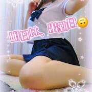 ヒメ日記 2026/04/22 21:24 投稿 かな 西船人妻花壇