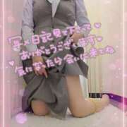 ヒメ日記 2026/04/26 08:59 投稿 かな 西船人妻花壇