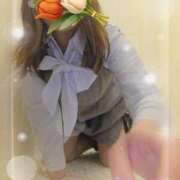 ヒメ日記 2026/04/28 12:25 投稿 かな 西船人妻花壇