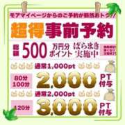 ヒメ日記 2026/04/29 12:55 投稿 かな 西船人妻花壇