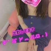 ヒメ日記 2026/05/04 09:22 投稿 かな 西船人妻花壇