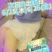 ヒメ日記 2026/06/19 00:00 投稿 かな 西船人妻花壇