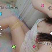 ヒメ日記 2026/06/25 09:42 投稿 かな 西船人妻花壇