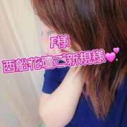 ヒメ日記 2026/10/15 00:23 投稿 かな 西船人妻花壇
