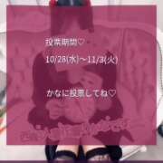 ヒメ日記 2026/10/18 16:15 投稿 かな 西船人妻花壇
