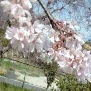 ヒメ日記 2025/03/30 22:45 投稿 かんな(昭和55年生まれ) 熟年カップル名古屋～生電話からの営み～