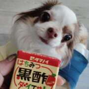 ヒメ日記 2025/04/27 09:46 投稿 かんな(昭和55年生まれ) 熟年カップル名古屋～生電話からの営み～