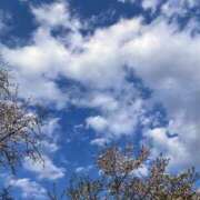 ヒメ日記 2025/04/18 07:17 投稿 ふみな ベイビーモコ