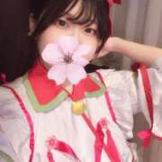 ヒメ日記 2025/05/19 12:19 投稿 ふみな ベイビーモコ