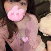 ヒメ日記 2025/05/20 12:05 投稿 ふみな ベイビーモコ