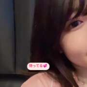 ヒメ日記 2025/05/21 17:43 投稿 ふみな ベイビーモコ