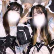 ヒメ日記 2025/06/07 15:42 投稿 ふみな ベイビーモコ