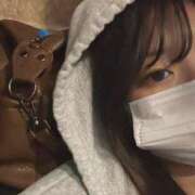 ヒメ日記 2025/06/13 15:53 投稿 ふみな ベイビーモコ