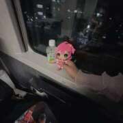 ヒメ日記 2025/07/21 11:48 投稿 ふみな ベイビーモコ