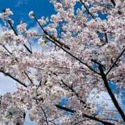 ヒメ日記 2025/10/19 13:14 投稿 ふみな ベイビーモコ