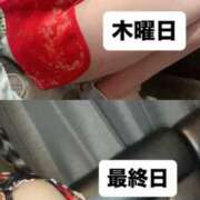 ヒメ日記 2025/10/30 03:00 投稿 ふみな ベイビーモコ