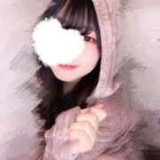 ヒメ日記 2025/11/15 16:48 投稿 ふみな ベイビーモコ