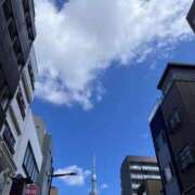 ヒメ日記 2026/03/11 14:37 投稿 ふみな ベイビーモコ