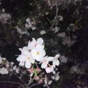 ヒメ日記 2026/04/15 07:49 投稿 ふみな ベイビーモコ