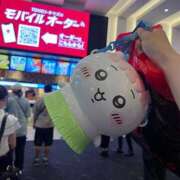 ヒメ日記 2026/07/28 15:10 投稿 ふみな ベイビーモコ
