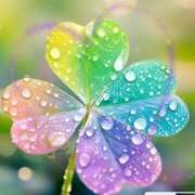 ヒメ日記 2025/12/20 20:05 投稿 ゆみか 甲府人妻隊