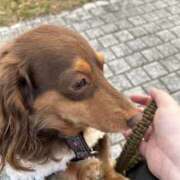 ヒメ日記 2025/05/06 09:11 投稿 みあ 奥様さくら難波店